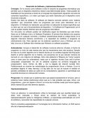 Desarrollo de Software y Aplicaciones Resumen