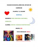 EL OBJETO DE LA ESTETICA