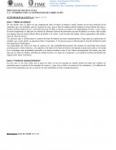 Actividad evaluativa Bates de béisbol
