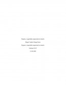 Higiene y seguridad ocupacional en minería