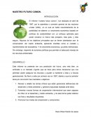Nuestro futuro común
