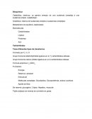 Resumen Bioquimica