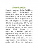 Idea empresaria "mi canasta online"