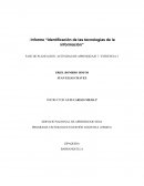 Informe tecnologias de la informacion