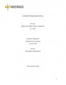 Guia sobre competitividad regional