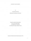 EJEMPLO ACTIVIDAD DE CONSTRUCCIÓN APLICADA