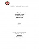 Informe Hematopoyesis