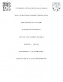 FUNDAMENTOS DE DERECHOS