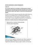 Motor Sincrono de Iman Permanente