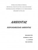 Importancia de la responsabilidad social y empresarial del ambiente