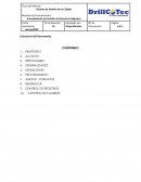 Estructura del Documento
