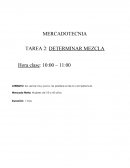 Mezcla Promocional