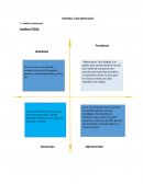 Actividad: “Caso Motorcycles” Análisis FODA