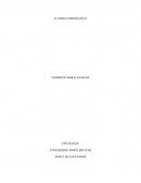 CUADRO COMPARATIVO ENTRE ENTREVISTA Y OBSERVACIÓN CONDUCTUAL