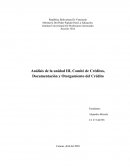 Comite de Creditos analisis unidad