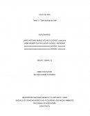 Tarea 3 – Tipos de Hoja de Vida Colaborativo