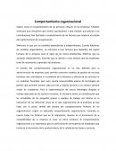 Comportamiento organizacional.Dirección empresarial