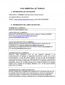 Plan semestral de trabajo para practica profesional