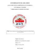 Ensayo (importancia del control interno en la gerencia del talento humano en el sector público)