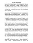 Ensayo sobre “Papers de simulación”