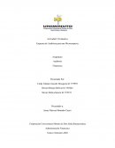 Actividad 5 Evaluativa Esquema de Auditoria para una Microempresa