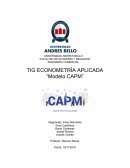 TIG ECONOMETRÍA APLICADA “Modelo CAPM”