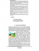 Actividades pendientes por entregar del primer periodo grado. El grafiti de mi vida