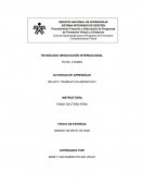 Relato: trabajo colaborativo