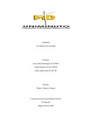 Investigación de mercados en la Ciudad de Ibagué