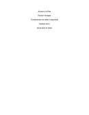 Acceso a la red. Fundamentos de redes y seguridad