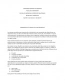 Dimensión de la tubería en la red neumatica