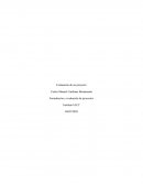Formulación y evaluación de proyectos Semana 5