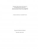 VALORES AMBIENTALES QUE CONTRIBUYAN CON EL MEJORAMIENTO DEL AMBIENTE DE APRENDIZAJE EN EL LICEO BOLIVARIANO HUGO MONTIEL MORENO