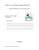 Purificación de PCR