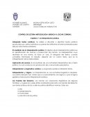 METODOLOGIA JURIDICA RESUMEN, OSCAR CORREAS