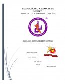 Caso Crista Miel S.A. de C.V.