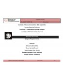 Proyectos de inversion Salsa botanera “Del Diablo”