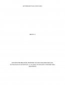 Gestion de proceso Dielectrica SAS