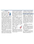 PROYECTO PASTA DENTAL