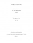 Administración de empresas – Creación de organizaciones solidarias