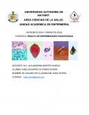 ENSAYO DE ENFERMEDADES PARASITARIAS