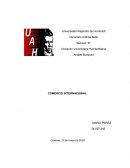 El Licenciado en Comercio Internacional