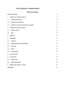 Plan de Marketing - Bodegas Elephant