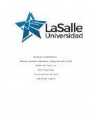 DEFINICIÓN, IMPORTANCIA, CARACTERÍSTICAS Y CLASIFICACIÓN DE BAT Y YURA