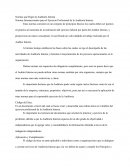 Normas que Rigen la Auditoria Interna