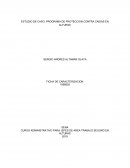 ESTUDIO DE CASO: PROGRAMA DE PROTECCION CONTRA CAIDAS EN ALTURAS