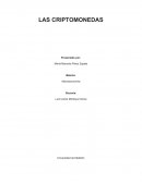 LAS CRIPTOMONEDAS