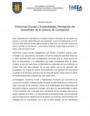 Resumen Ejecutivo Economía Circular y Sostenibilidad: Percepción del consumidor de la comuna de Concepción