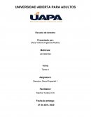 DERECHO PENAL ESPECIAL