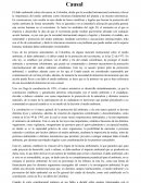 Ensayo sobre el daño Ambiental y el Nexo Causal